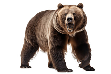Fierce Grizzly Bear Isolated on Transparent Background Generative AI