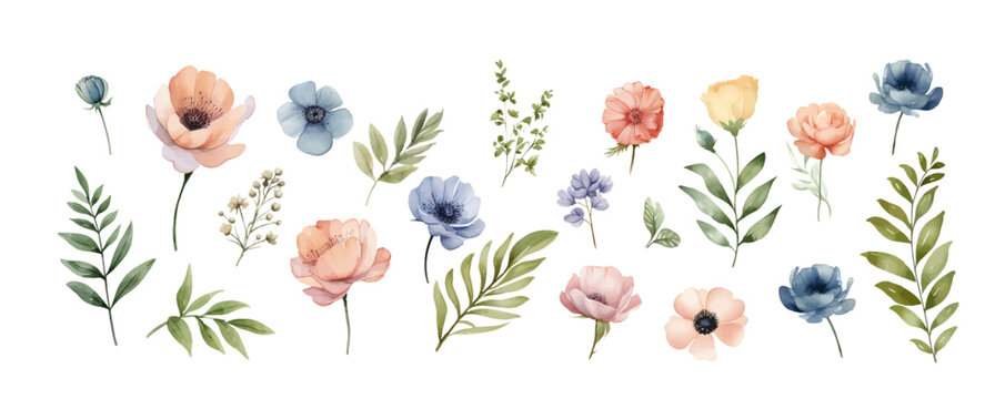 Wild flowers vector collection.  herbs, herbaceous flowering plants, blooming flowers, subshrubs isolated on white background. Hand drawn detailed botanical.