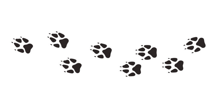 Wolf paws. Animal paw prints, vector different animals footprints black on white illustration