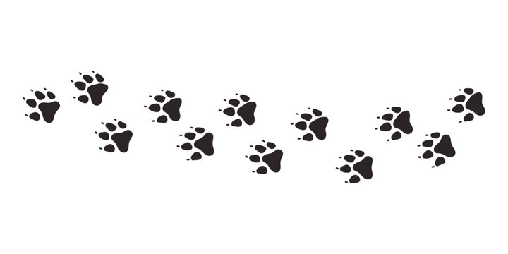 Dog paws. Animal paw prints, vector different animals footprints black on white illustration
