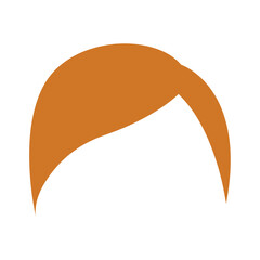 Isolated colored girl hair style Vector