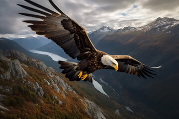 Looking Down: A magnificent bald eagle soars gracefully high above a picturesque mountain landscape.