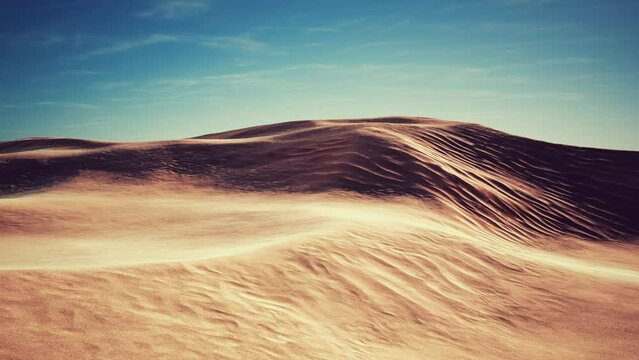 wide and wild landscape of the Arabic sand desert
