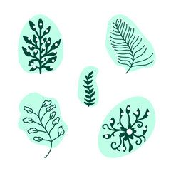 A set of five images of plant elements of grass and color on a background of rounded shapes.