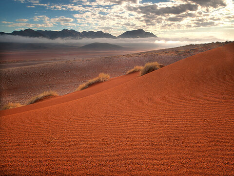 Morning light in the Namib-Naukluft National Park, Namibia, Africa.