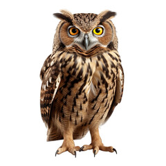 Owl 3d render character, Hyper Realistic isolated on transparent background.