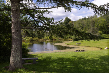 A pond and picnic area at the White Memorial Foundation and Conservation nature preserve,...