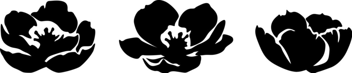 Black silhouettes of flowers isolated on a white background. Set of vector illustrations