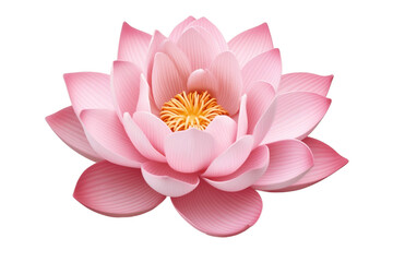 Lotus Flower Isolated on Transparent Background - Generative AI