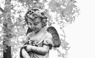 Angel baby statue on old cemetery, blurred natural background. Design for condolences, mourning cards or obituary. concept of religion, faith, Remember, mourn, memory. black-white color tone