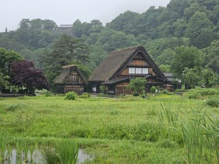 Fototapeta na wymiar Shirakawa-Go Ogimachi Castle Observation Deck Wada House Plant Sky Plant community