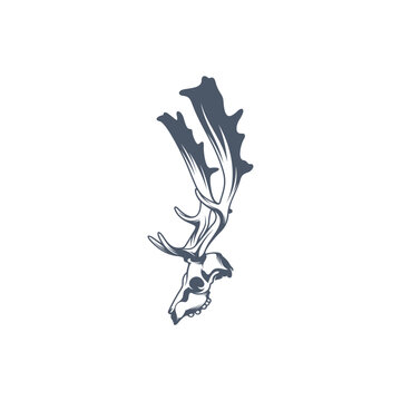 Head Deer bone vector illustration design. Head Deer logo design Template.
