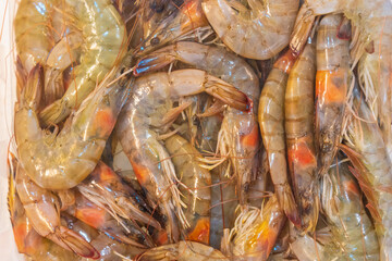 Shrimp on ice in a store fridge, background