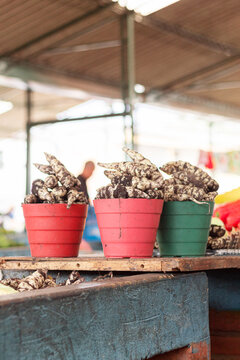 Three buckets full of Cubios, tubers from some South American countries. Organic food and farmer's market. Food fresh from the ground. Vertical image with copy space.