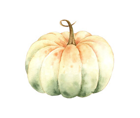 Fall pumpkin isolated on white background. Watercolor illustration.