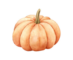 Fall pumpkin isolated on white background. Watercolor illustration.