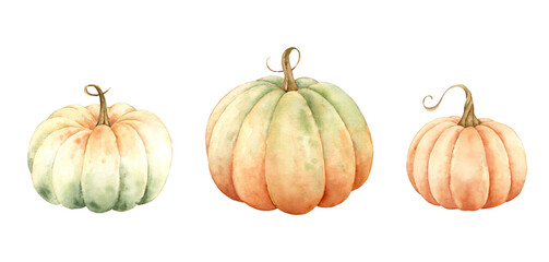 Fall pumpkin isolated on white background. Watercolor illustration.