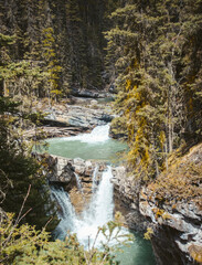 waterfall in the forest