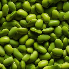 Fava Beans as seamless tiles