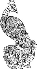 Fototapeta premium black and white peacock