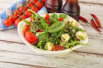 Mix salad with mozzarella and tomato