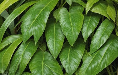 tropical plants with this close-up shot.