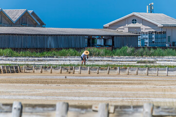 A view of salt panning in the crystallisation pools at the salt pans at Secovlje, near to Piran,...