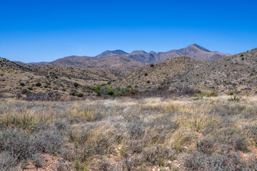 Fototapeta na wymiar An Arizona desert landscape on a blue sky
