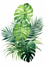 Poster de jardin Monstera tropische Blätter im Wasserfarbenstil auf weißen Hintergrund 