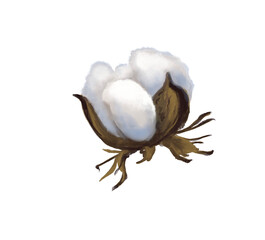 Cotton flower. Watercolor Christmas decor