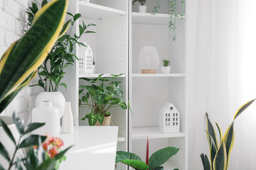 Shelving unit with green houseplants and decor in living room