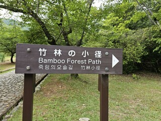 Plant Natural environment Natural landscape Tree Font Groundcover