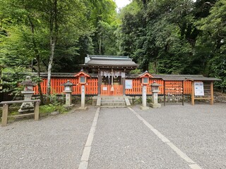 Arashiyama Monkey Park Iwatayama Arashiyama Togetsu-KyÅ Bridge Plant Tree Natural landscape