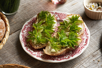 Young goutweed leaves on slices of sourdough bread