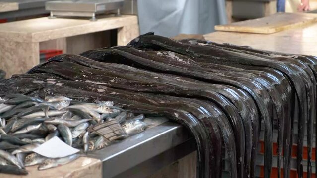 Black scabbard fish on the market - Mercado dos Lavradores