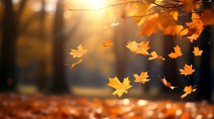 Autumn background, falling leaves, blurred background