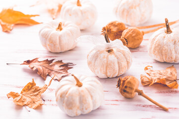White pumpkings, poppy heads and autumn leaves on wooden background