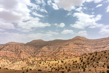 Fototapeta na wymiar Landscape impression of the semidesert along the atlas torrent in morocco in summer