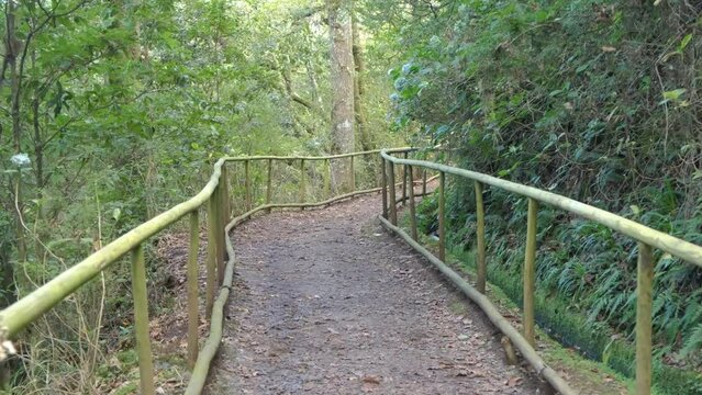 Levada trail Um Caminho Para Todos