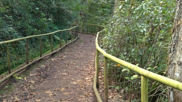 Levada trail Um Caminho Para Todos