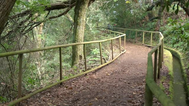 Levada trail Um Caminho Para Todos