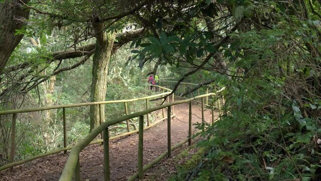 Levada trail Um Caminho Para Todos