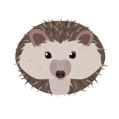 Hedgehog face isolated on white background. Prickly hedgehog head. Wild forest animal. Vector icon illustration. © Елена Истомина