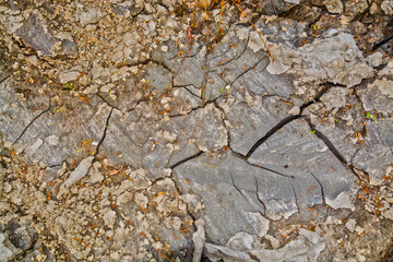 Pattern of dry mud on a hot day