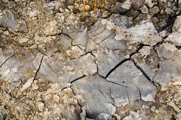 Pattern of dry mud on a hot day