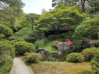 Fototapeta na wymiar Kyoto Imperial Palace Kyoto Gyoen National Garden Plant Flower Sky Natural landscape