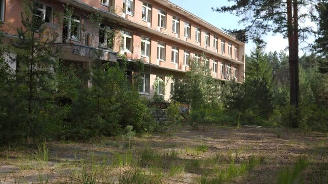 evicted building in the forest due to radiation 4k