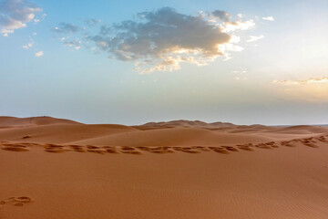 Fototapeta na wymiar Sunset view at the Erg Chebbi sand dune landscape of the sahara of morocco near merzouga