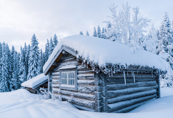 snow-clad wooden cottage cabin house in the winter forest