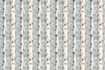 Birch bark, winter wood trunk on blue structured, weathered, vintage background. Repetitive, nature, winter tile for seamless pattern, projects.